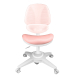 Комплект Kinderzen Gaudi Plus парта + кресло белый/розовый с розовым креслом Funken